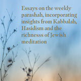 Sapphire Light: Select Gems of Spiritual Wisdom [Paperback]