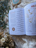 Siddur Or veShalom [Sidduré Or] - Shabbat & Festivals