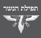 Tefillat haNesher - Experimental Minimalist Rambam Siddur